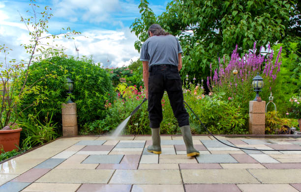 Professional Pressure Washing Services in Wild Peach Village, TX